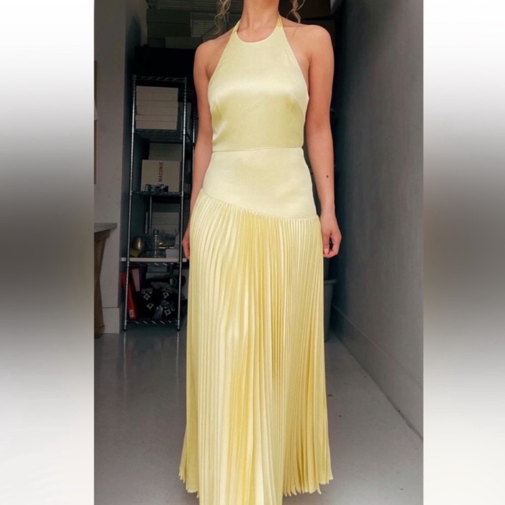 Alexis Saab Pleated Drop Waist Maxi Dress in Yellow